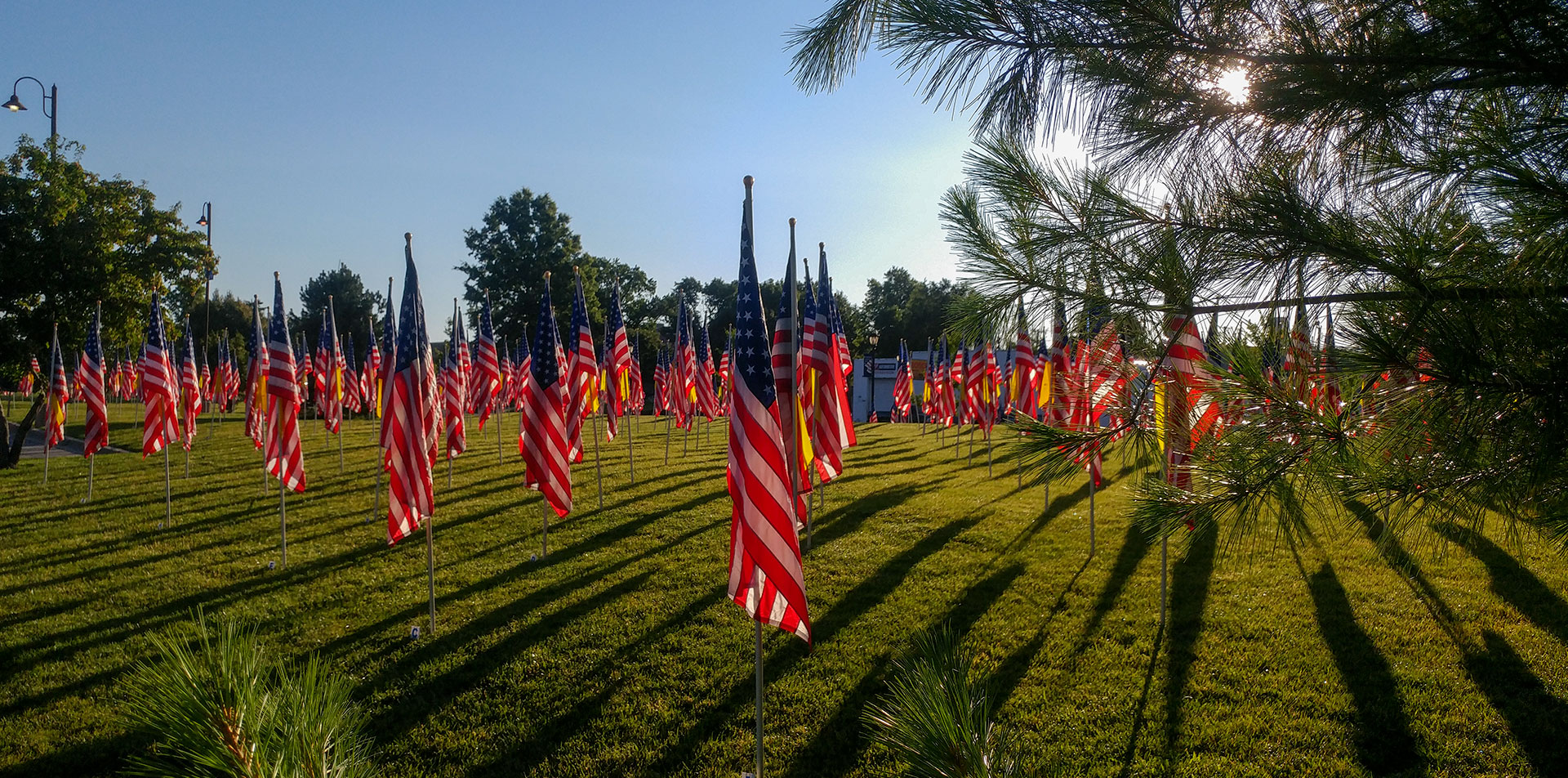 Flags 4 Freedom